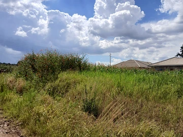 Land