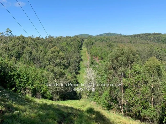 Nyanga Vacation Plots!! Limited!