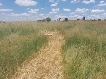 Land