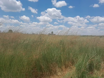 Land