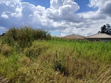Land